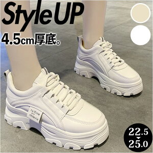 Xj[J[ fB[X EH[LOV[Y ʔ _bhXj[J[ _bhV[Y  Xj[J[ RC _bh Cq[ C V[Y ₷ ʋC ϋv _炩 킢 
