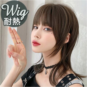 EBbO {u ʔ V[g{u V[g  tEBbO tECbO EtJbg Et C[ VM[ uE V[gXg[g S  C`F l RX