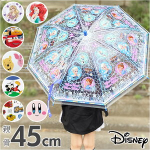 rj[P q ʔ P qp 45cm XP[^[ ubv45 SKATER JP P  JT j̎q ̎q LbY c J OXt@Co[P v qǂ ǂ 45Z`  킢 L