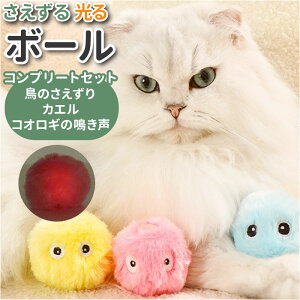 ˂  {[ ʔ I` L炵 ˂炵 ߋ  lV L lR  킢  Lp ybg Lpi LObY ybgObY ObY
