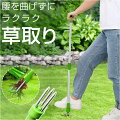 雑草が伸び放題の庭…かがまなくても立ったまま楽に雑草が取れる「草取り道具」でおすすめは？