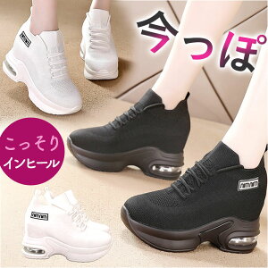 Xj[J[ fB[X  ʔ Cq[Xj[J[ Xj[J[ V[Y V[NbgV[Y C EH[LOV[Y nCJbgXj[J[ nCJbg Cq[