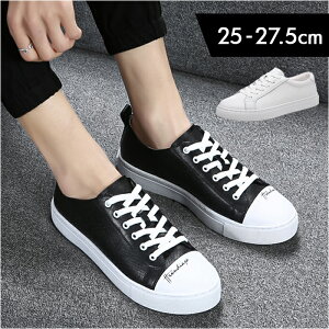 Xj[J[ Y ʔ C V[Y [Jbg ^C  Nc ʋC z ɂ Vv n ʊw ʋ X|[c W[ Z w JWA Yt@bV 