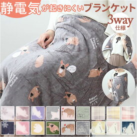 ブランケット ひざ掛け 通販 ひざかけ 膝掛け 膝掛 毛布 羽織り ベビーカーケット 寝具 布団 寒さ対策 防寒対策 冷房対策 オフィス お昼寝 もこもこ 軽量 インテリア あったかグッズ かわいい シンプル アウトドア ギフト