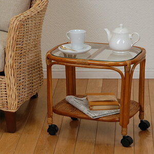 TChe[u  ʔ RT-758 iCge[u KXe[u TChbN  ^ LX^[t KX V [e[u rO Q 45×s35×40cm Vv AWA