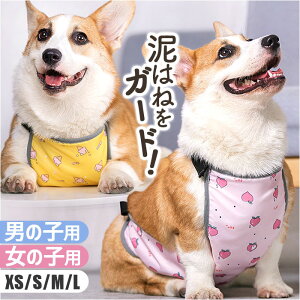 ybg Gv D ʔ D悯 JH J JJbp CEFA CEGA CR[g ̕ m J JEFA R[M[ R[M[p hbOEFA CObY  