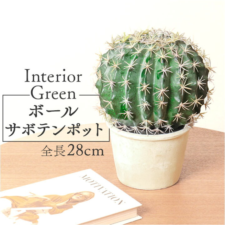 楽天市場】観葉植物 フェイク 大型 通販 フェイクグリーン サボテン