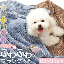 ペット ブランケット 通販 ペット毛布 毛布 犬毛布 猫毛布 暖かい ペットマット 無地 シンプル ペットブランケット 70×100cm ひざ掛け あったか 防寒 おしゃれ オシャレ 犬 猫 犬猫兼用 ペット用品 寒さ対策 お昼寝 寝具