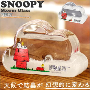 JY Xg[OX LN^[ ʔ TCGXIuWF TCGXG u u Ȋw TCGX NEhSS PEANUTS s[ibc Xk[s[ Snoopy L 킢  Rp