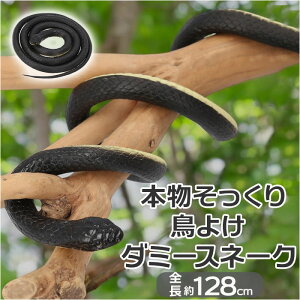 wr 悯 ʔ x_ 悯ObY  ObY   ւ _~[Xl[N ng悯 悯 JX悯 ng΍ JX΍ h ǂ hbL  W[NObY 