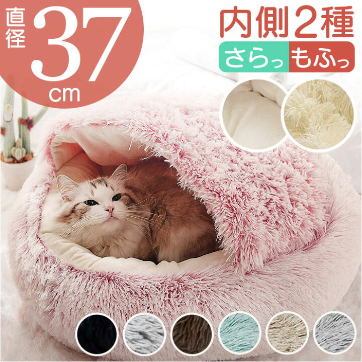 楽天市場】ペットハウス ドーム型 猫 犬 通販 ペット ハウス ペット 