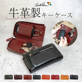 アーノルドパーマー キーケース ArnoldPalmer 4AP3637 通販 スマートキーケース スマートキー ケース キーホルダー 革 レザー 車 家の鍵 メンズ レディース ブランド 男性 女性 小銭入れ 一体型 小銭入れ付き コインケース付き 本革 牛革