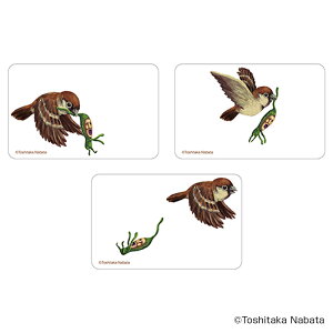 тƂÂ ObY ʔ тƂ NAJ[h ܂SݓXNAJ[h 4947864050955 тƂÂ03 X}z X}[gtH  J[h 킢   JCC G{