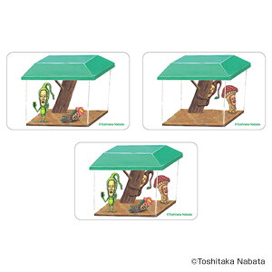 тƂÂ ObY ʔ тƂ NAJ[h ܂SݓXNAJ[h 4947864050979 тƂÂ05 X}z X}[gtH  J[h 킢   JCC G{