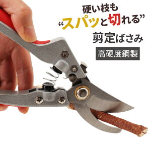 ΂ ʔ }؂oT~  nT~ ͂ |΂ | K[fjO oT~ }؂΂ ^    }؂ Ԓf @\ ƒ؉ G쏜