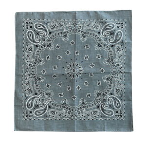 o_i ʔ XJ[t  BANDANNA }XN nJ` ^[o Xq  fBXvC ANZT[  Y fB[X Mtg 蕨