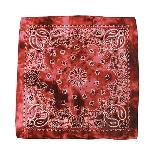 o_i ʔ XJ[t  BANDANNA }XN nJ` ^[o Xq  fBXvC ANZT[  Y fB[X Mtg 蕨