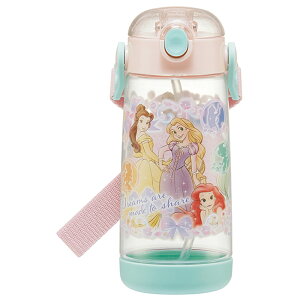 Xg[{g 480ml SKATER XP[^[ ʔ LbY qp ǂ vbV{g NA{g  y y 킢 vbV Xg[t ۈ牀 ct ʉ ʊw w 