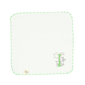 Shinzi Katoh CjV ^InJ` ʔ SKTC-103 nJ`^I ~j^I nh^I nJ` K[[nJ` ^I  23×23cm VWJgE B^I  킢 