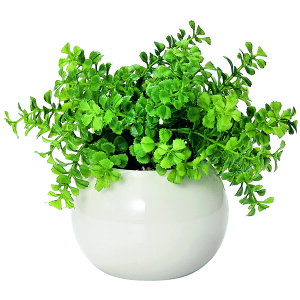 G} ϗtA ʔ tFCNO[ ~j CeAO[ A    ͂Ȃ  RpNg Eh|bg ی^ C~e[VO[ L  C