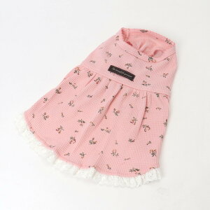 ybg hbOEFA s[X t  ʔ  hX ̕ ybg p   ĕ t  t ԕ Vv  킢 