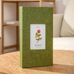 tHgAo 300 ʔ Ao ʐ^ tHg z \ [  j̎q ̎q q  킢 fUC  蕨 Mtg