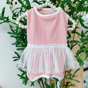 p㕞  ʔ p㒅pEFA L lR p Ck ybg ybg 앞 GUxXJ[  pEFA p hbOEFA p  rߖh~  ی  lGp D 