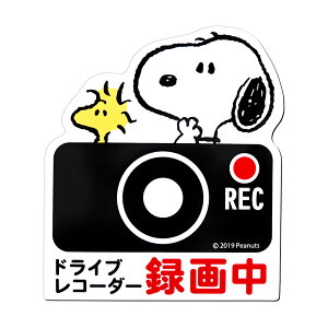 hCuR[_[ hbOTC XebJ[   ʔ }OlbgTC hR }Olbg  킢 Xk[s[ SNOOPY bN} ^撆 TC REC ^]h~ 