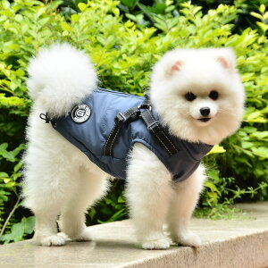 R[g  ʔ ybg ̕ ybgp WPbg Wp[ hbOEFA n[lXt h  Ȃ  Ck ^ ^ L lR ˂ U o t H ~ 킢 J