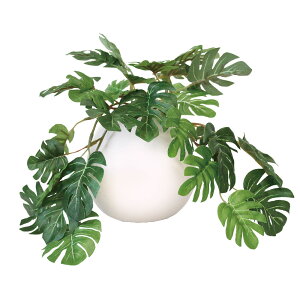 G} tFCNO[ ʔ C~e[VO[ lHϗtA CeAO[ ^۔ L R hJr |bg  ۔  A   u CeAvc 