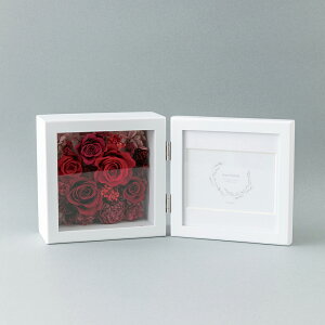 vU[uht[ ʐ^ ʔ tHgt[  {bNX Mtg   t[Mtg a Mode [h 蕨 j ͂Ȃ  킢 j җj hV