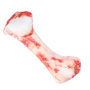 L ܂  ʔ Lp ߋ lR ˂ V I` ʂ ybggC lV }^^r ЂƂ V  v l` 킢  ybgpi ybgObY G 