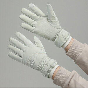  fB[X ~ g ĂԂ O[u ^b`pΉ ʔ Ԃ ܖ{w 킢  X}[gtHΉ h h N  ~ ۉ ΍ ʋ ʊw XL[ 