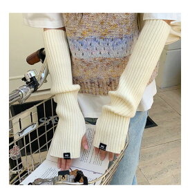 アームウォーマー ニット リブ 通販 アームカバー 暖かい ハンドウォーマー 指なし 手袋 ロング レディース 秋 冬 おしゃれ かわいい 防寒 防風 シンプル 無地 睡眠 温活 手首 冷えとり 通勤 通学 オフィス テレワーク あったか 温かい 寒さ対策 小物