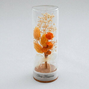 hCt[ KX ʔ {gt[ RN{g 55 t[AWg KX{g vU[uht[ t[Mtg IuWF u u    Mtg 