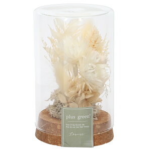 hCt[ KX ʔ {gt[ RN{g 75 t[AWg KX{g vU[uht[ t[Mtg IuWF u u    Mtg 