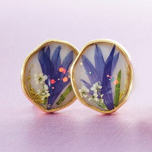 CO T ʔ  lWol ANZT[ Tz ER-460 ԕ߃CO   t[ S[h  킢 ꂢ Vv l Mtg v