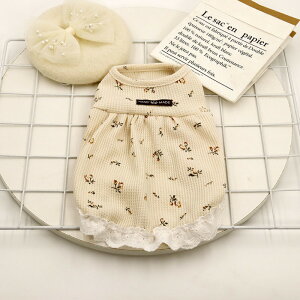 hbOEFA  ʔ  Ck  ybg ybgEFA ̕ ˂ L L̕ 킢  ^ ^ Rbg  lR Lbg t  H ~ ъ Ȃ s[X m