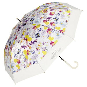 rj[P  ʔ ԕ  Wv t[ 61cm OXt@Co[ t[Au JP P JP 傫  fB[X  킢  ʋ ʊw Mtg Wpc. 