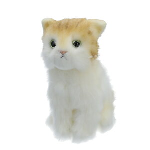 S ʂ L ʔ ˂ lR A L̂ʂ 20cm ˂̂ʂ  ̎q ӂӂ {  킢 蕨 Mtg 