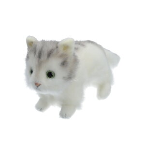 S ʂ L ʔ ˂ lR A L̂ʂ 20cm ˂̂ʂ  ̎q ӂӂ {  킢 蕨 Mtg 