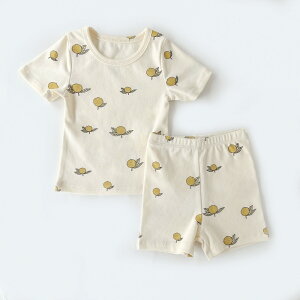 pW} xr[  ʔ [EFA  iCgEFA QԒ Q Q ̎q j̎q LbY Ԃ vI[o[ ㉺Zbg ZbgAbv  Rbg EGXgS  