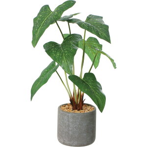 ϗtA tFCN ^ ʔ tFCNO[ A[eBtBVO[ CeAO[ lHϗtA 傫 A |bg  rO ItBX X  V z