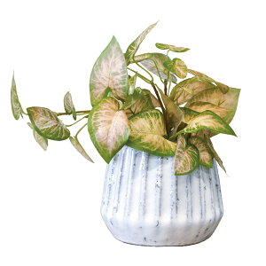 光触媒 フェイクグリーン 通販 人工観葉植物 イミテーショングリーン インテリアグリーン 消臭 抗菌 防カビ おしゃれ ポット 陶器 植物 飾る インテリアプランツ 置物 イミテーション 癒し