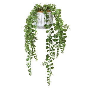 G} tFCNO[ ʔ lHϗtA C~e[VO[ CeAO[ L R hJr  |bg  A  CeAvc u C~e[V  