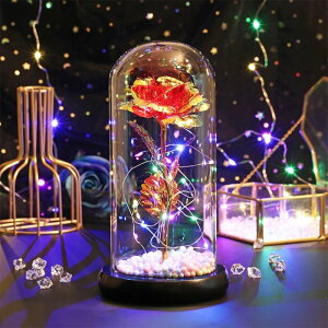 KXh[ t[ LED ʔ  Cg CeA CeACg    o LL ͂Ȃ  u IuWF 蕨 Mtg ̓ a  EGfBO 