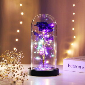 KXh[ Cg ʔ ドCg LED KX h[Cg t[Cg  u t[   o  킢 dr   蕨 IuWF LEDCg ̓ LO