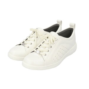 Xj[J[ fB[X  ʔ y y ɂ ₷ 킢 Vv ₷ Jt R hL A[`T|[g pW[ pansy [Jbg 3E  ubN C