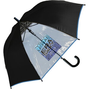 P q 55cm ʔ P qǂ ʊw oZ WvP v ϕ OXt@Co[   w wZ Mtg v[g wj {[CY LbY P SHEIL