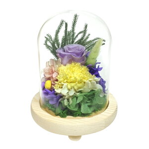 KXh[ CeA AWg L ʔ t[AWg vU[uht[ vU[ht[    h[ Ԋt  ~  t[ ͂Ȃ 